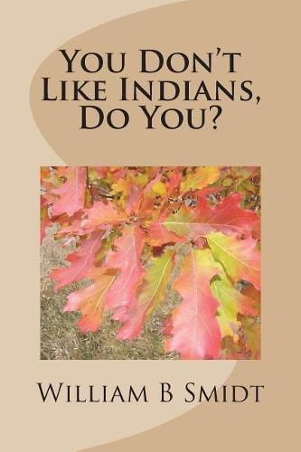 Cover image for You Don't Like Indians, Do You?