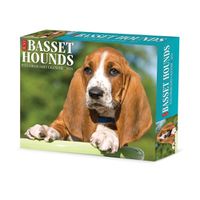 Cover image for Basset Hounds 2025 6.2 X 5.4 Box Calendar