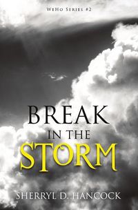 Cover image for Break in the Storm