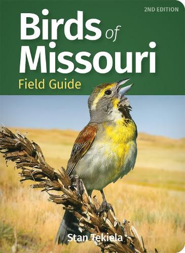 Cover image for Birds of Missouri Field Guide