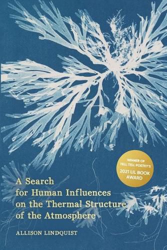 Cover image for A Search for Human Influences on the Thermal Structure of the Atmosphere