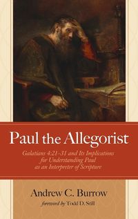 Cover image for Paul the Allegorist