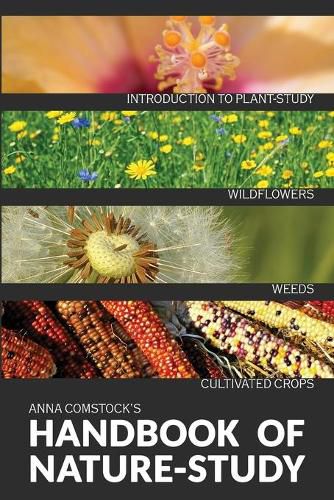 Cover image for The Handbook Of Nature Study in Color - Wildflowers, Weeds & Cultivated Crops