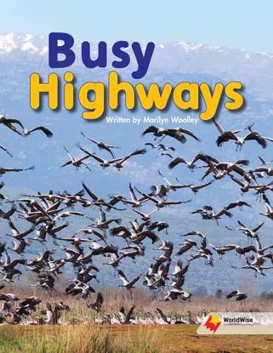 Cover image for Busy Highways