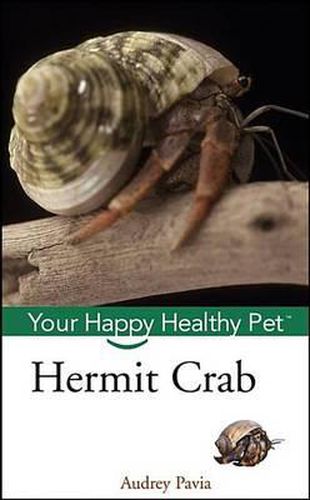 Cover image for Hermit Crab: Your Happy Healthy Pet