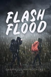 Cover image for Flash Flood