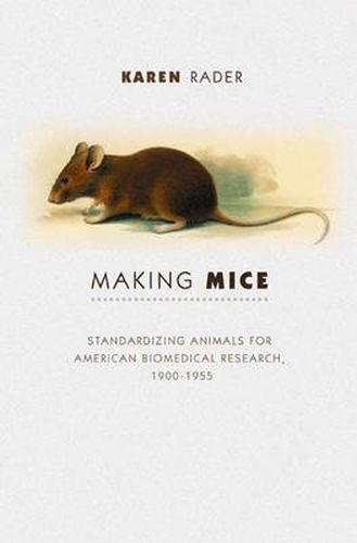 Cover image for Making Mice: Standardizing Animals for American Biomedical Research, 1900-1955