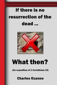 Cover image for If There Is No Resurrection