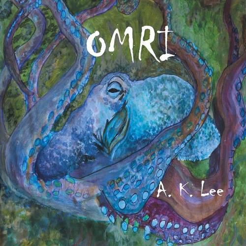Cover image for Omri