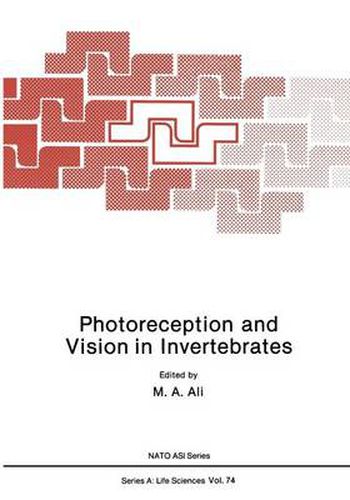 Photoreception and Vision in Invertebrates