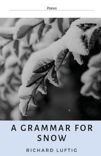 Cover image for A Grammar for Snow