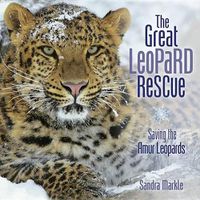 Cover image for Great Leopard Rescue