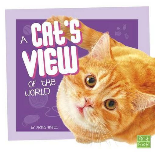 Cover image for A Cat's View of the World