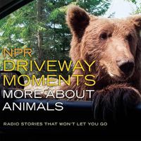 Cover image for NPR Driveway Moments: More about Animals: Radio Stories That Won't Let You Go
