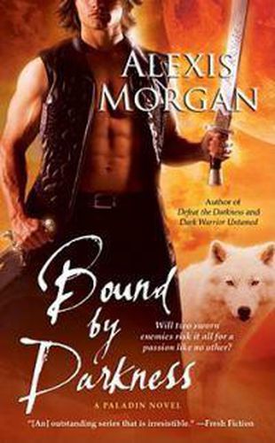 Bound by Darkness: A Paladin Novel