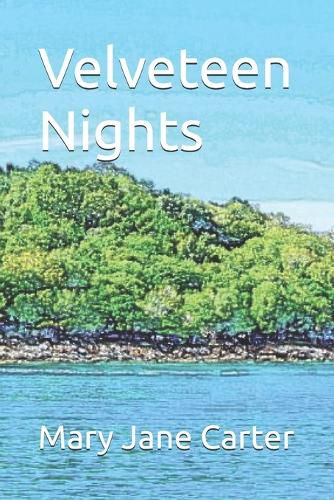Cover image for Velveteen Nights