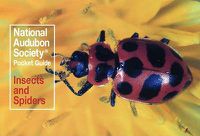 Cover image for National Audubon Society Pocket Guide: Insects and Spiders