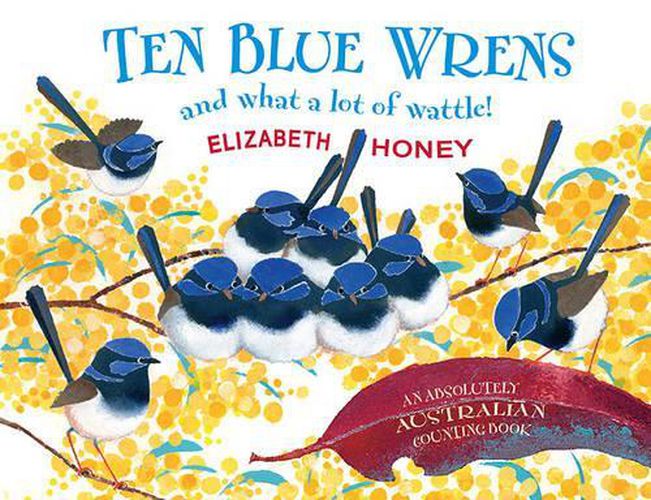 Ten Blue Wrens: and what a lot of wattle!