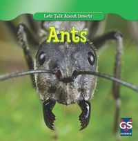 Cover image for Incredible Ants