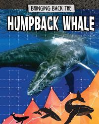 Cover image for Humpback Whale: Bringing Back The