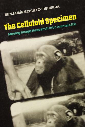 Cover image for The Celluloid Specimen