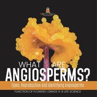 Cover image for What are Angiosperms? Types, Reproduction and Identifying Angiosperms Function of Flowers Grade 6-8 Life Science