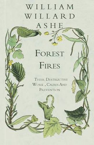 Cover image for Forest Fires - Their Destructive Work, Causes And Prevention