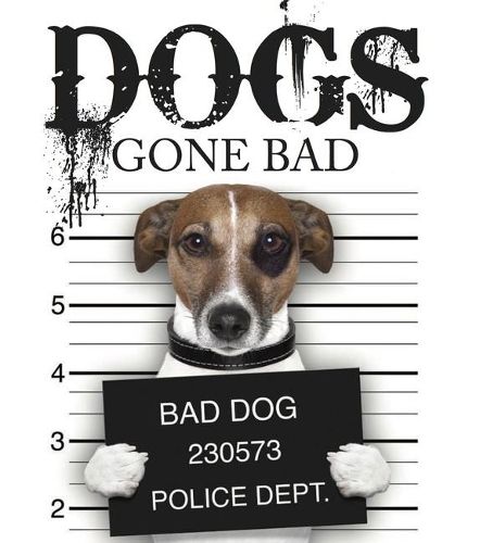 Cover image for Dogs Gone Bad