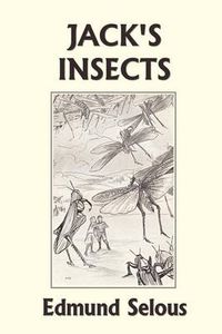 Cover image for Jack's Insects (Yesterday's Classics)