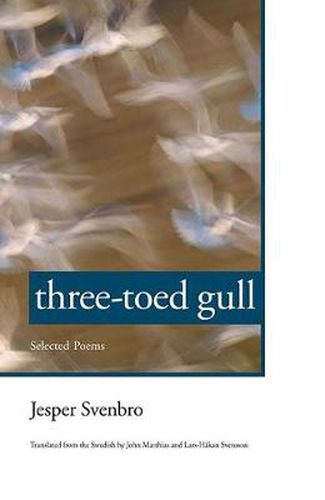 Three-toed Gull: Selected Poems