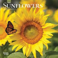 Cover image for Sunflowers Mmini