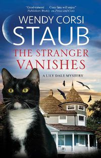 Cover image for The Stranger Vanishes