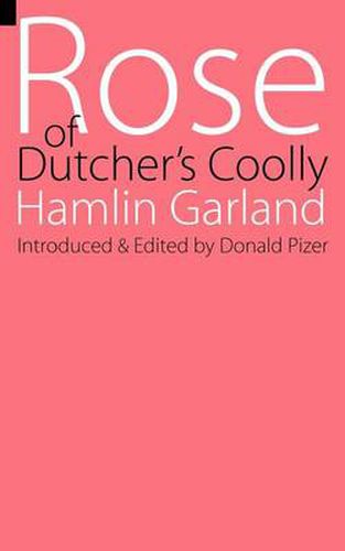 Cover image for Rose of Dutcher's Coolly