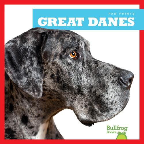 Cover image for Great Danes