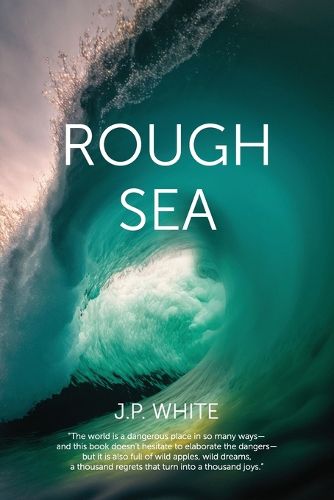 Cover image for Rough Sea