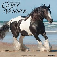 Cover image for Gypsy Vanner Horse 2025 12 X 12 Wall Calendar