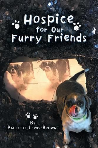 Cover image for Hospice for Our Furry Friends