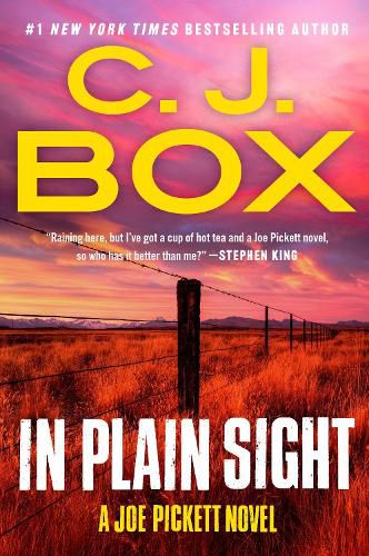 Cover image for In Plain Sight