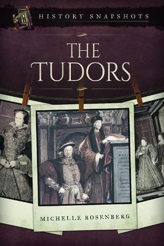 Cover image for The Tudors