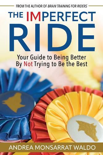 Cover image for The Imperfect Ride