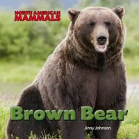 Cover image for Brown Bear