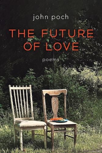 Cover image for The Future of Love