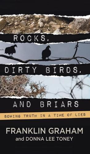 Cover image for ROCKS, DIRTY BIRDS, AND BRIARS