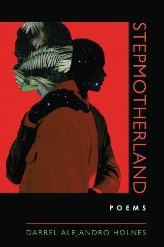 Cover image for Stepmotherland