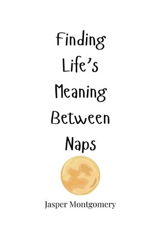 Cover image for Finding Life's Meaning Between Naps