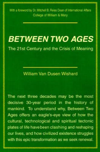 Cover image for Between Two Ages: The 21st Century and the Crisis of Meaning