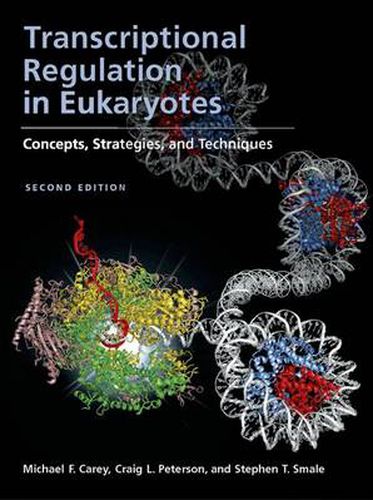 Transcriptional Regulation in Eukaryotes: Concepts, Strategies and Techniques