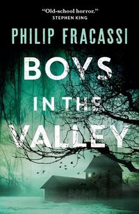 Cover image for BOYS IN THE VALLEY