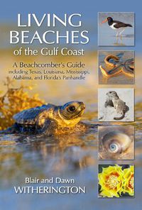 Cover image for Living Beaches of the Gulf Coast: A Beachcombers Guide including Texas, Louisiana, Mississippi, Alabama and Florida's Panhandle