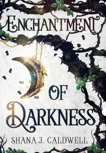 Cover image for Enchantment of Darkness